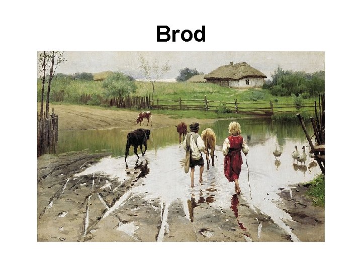 Brod 