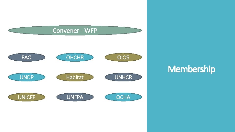 Convener - WFP FAO OHCHR OIOS UNDP Habitat UNHCR UNICEF UNFPA OCHA Membership 