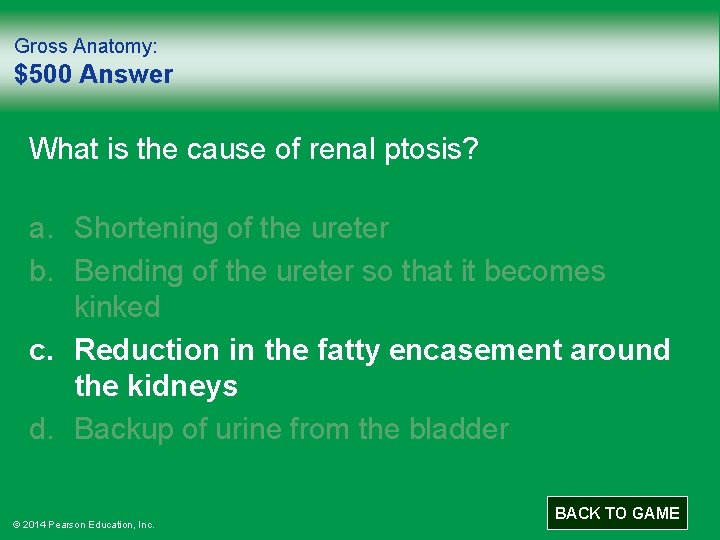 Gross Anatomy: $500 Answer What is the cause of renal ptosis? a. Shortening of