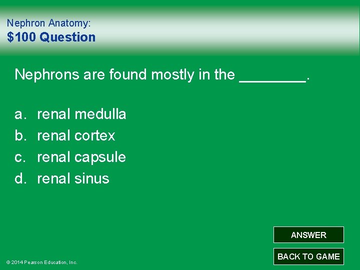 Nephron Anatomy: $100 Question Nephrons are found mostly in the ____. a. b. c.