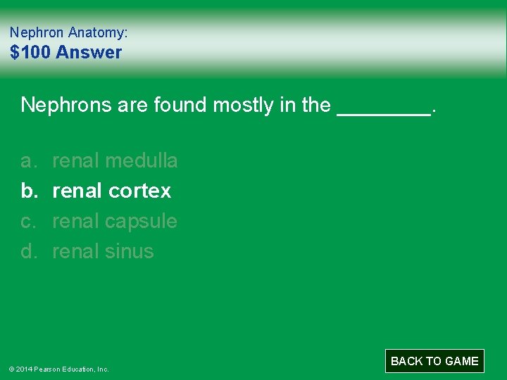 Nephron Anatomy: $100 Answer Nephrons are found mostly in the ____. a. b. c.