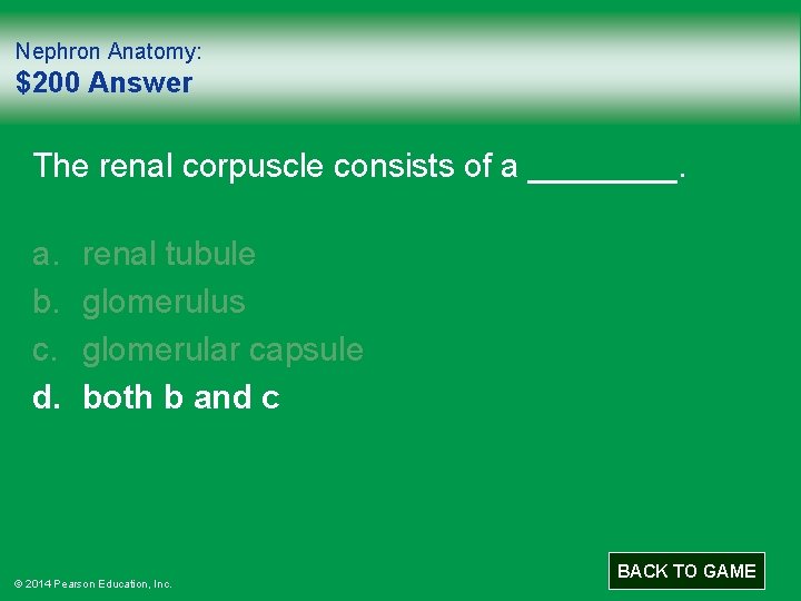 Nephron Anatomy: $200 Answer The renal corpuscle consists of a ____. a. b. c.