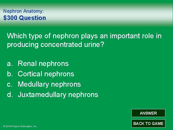 Nephron Anatomy: $300 Question Which type of nephron plays an important role in producing