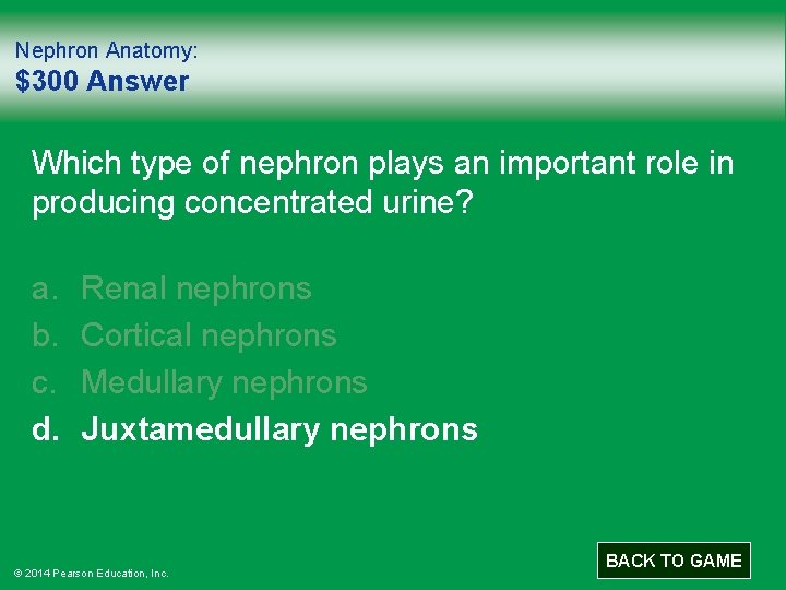 Nephron Anatomy: $300 Answer Which type of nephron plays an important role in producing