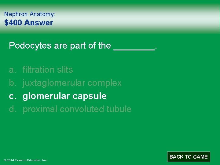 Nephron Anatomy: $400 Answer Podocytes are part of the ____. a. b. c. d.