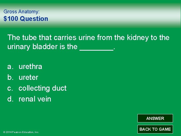 Gross Anatomy: $100 Question The tube that carries urine from the kidney to the
