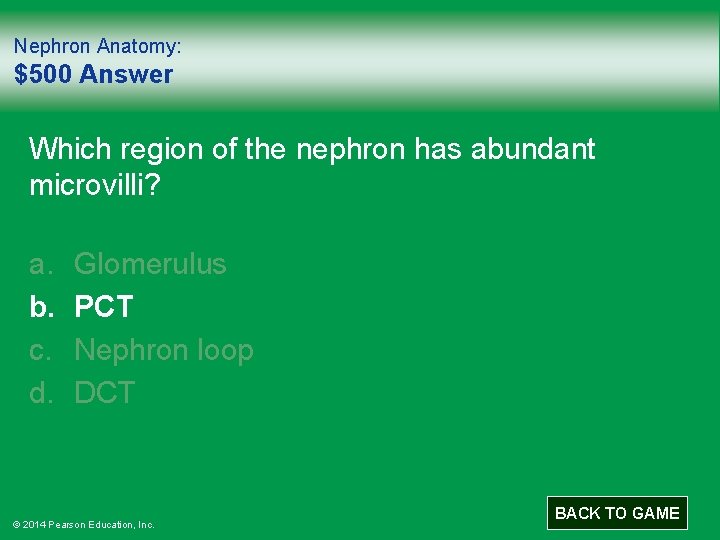 Nephron Anatomy: $500 Answer Which region of the nephron has abundant microvilli? a. b.