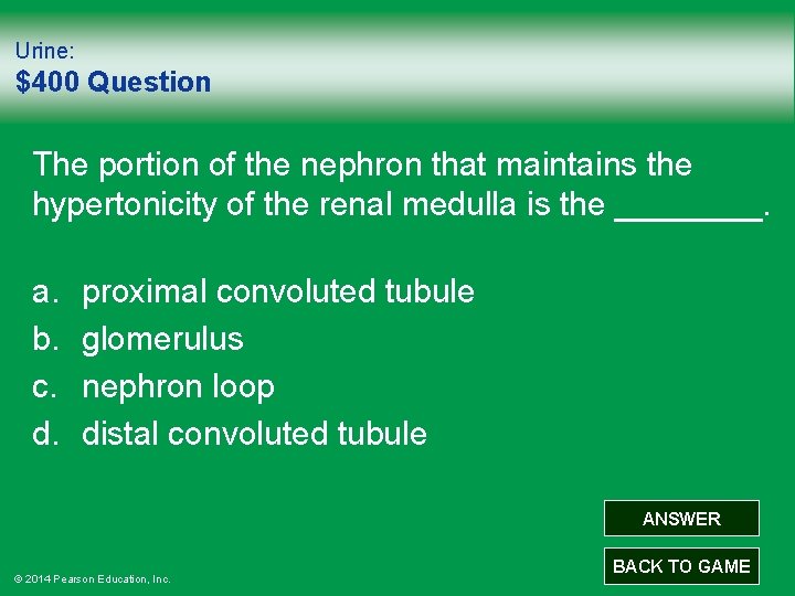 Urine: $400 Question The portion of the nephron that maintains the hypertonicity of the