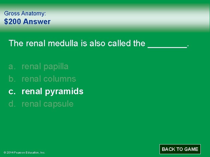 Gross Anatomy: $200 Answer The renal medulla is also called the ____. a. b.