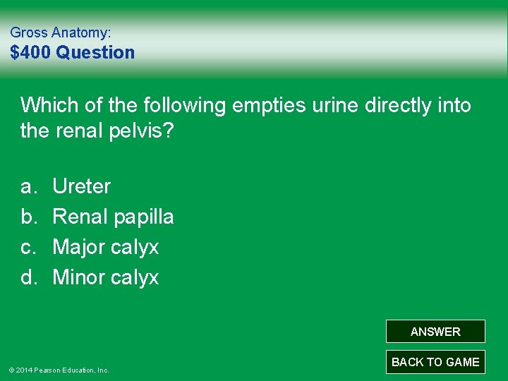 Gross Anatomy: $400 Question Which of the following empties urine directly into the renal