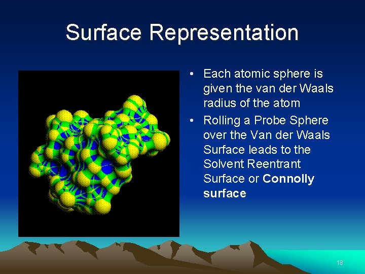 Surface Representation • Each atomic sphere is given the van der Waals radius of
