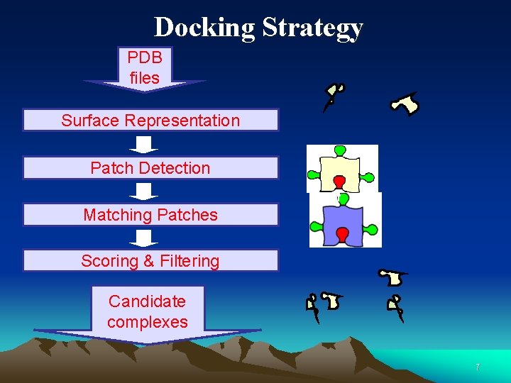 Docking Strategy PDB files Surface Representation Patch Detection Matching Patches Scoring & Filtering Candidate