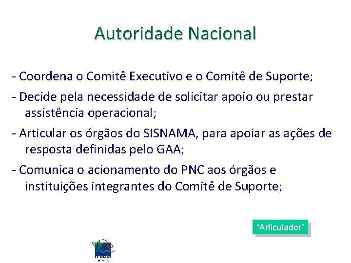 Autoridade Nacional - Coordena o Comitê Executivo e o Comitê de Suporte; - Decide