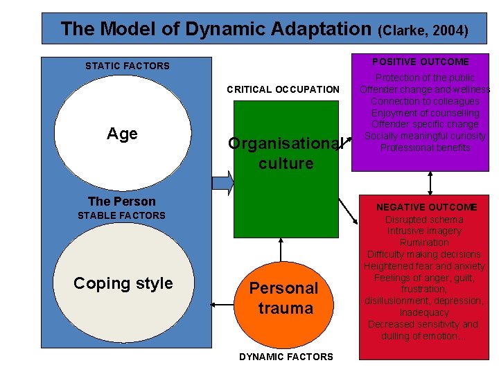 The Model of Dynamic Adaptation (Clarke, 2004) POSITIVE OUTCOME STATIC FACTORS CRITICAL OCCUPATION Age