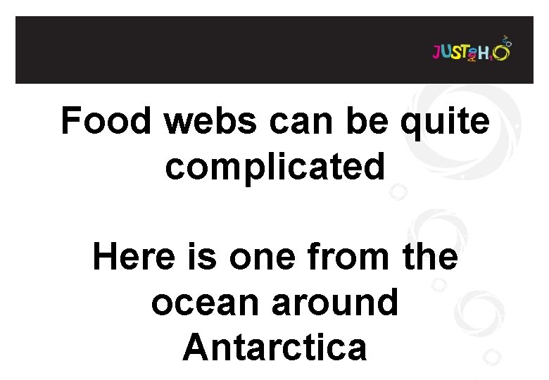Food webs can be quite complicated Here is one from the ocean around Antarctica