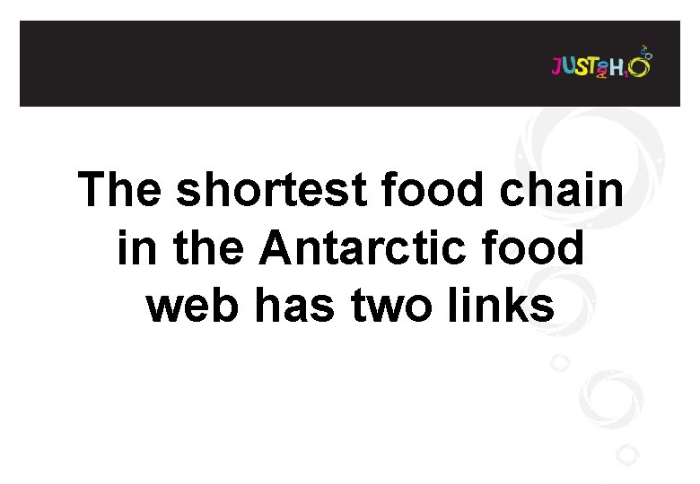 The shortest food chain in the Antarctic food web has two links 