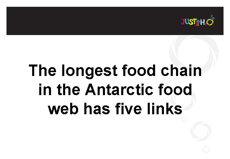 The longest food chain in the Antarctic food web has five links 