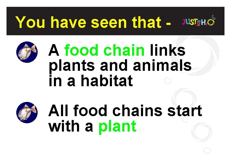 You have seen that A food chain links plants and animals in a habitat
