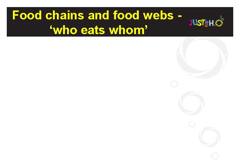 Food chains and food webs ‘who eats whom’ 