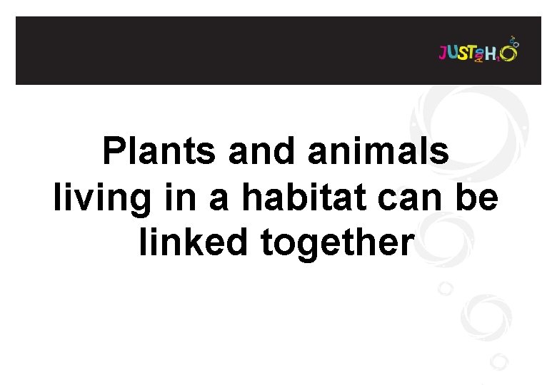 Plants and animals living in a habitat can be linked together 