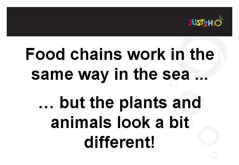 Food chains work in the same way in the sea. . . … but