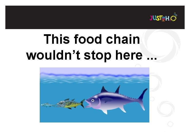 This food chain wouldn’t stop here. . . 