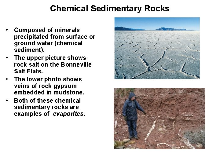 Chemical Sedimentary Rocks • Composed of minerals precipitated from surface or ground water (chemical