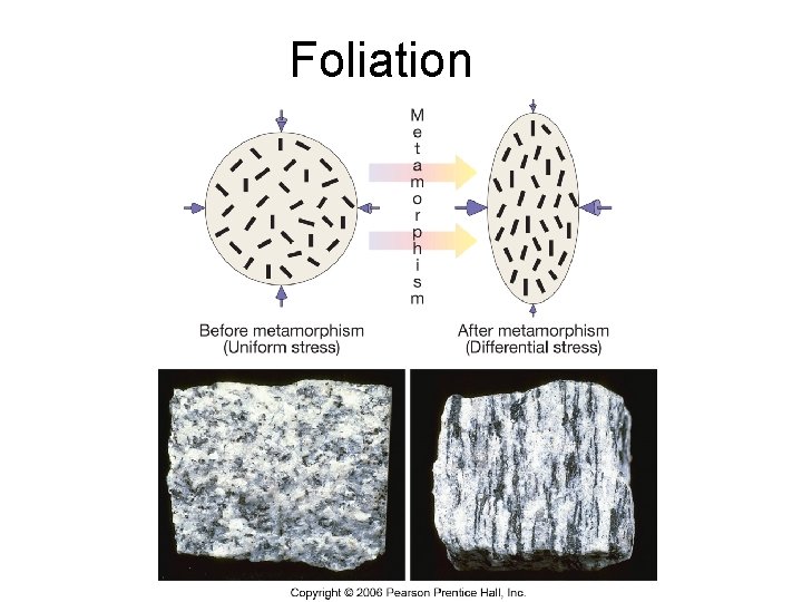 Foliation 