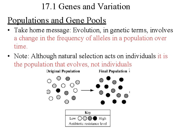 17. 1 Genes and Variation Populations and Gene Pools • Take home message: Evolution,