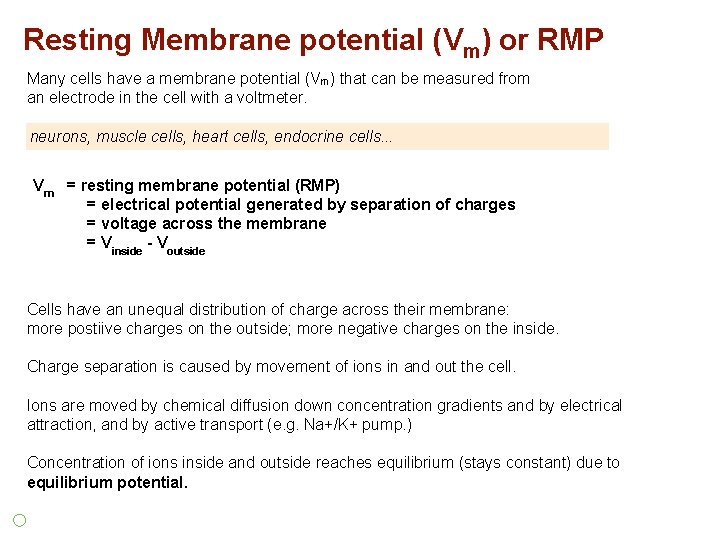 Resting Membrane potential (Vm) or RMP Many cells have a membrane potential (Vm) that