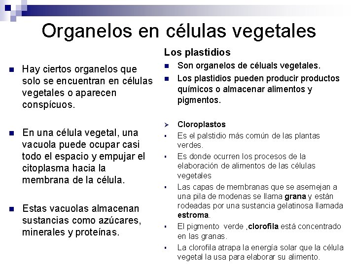 Organelos en células vegetales Los plastidios n n n Hay ciertos organelos que solo