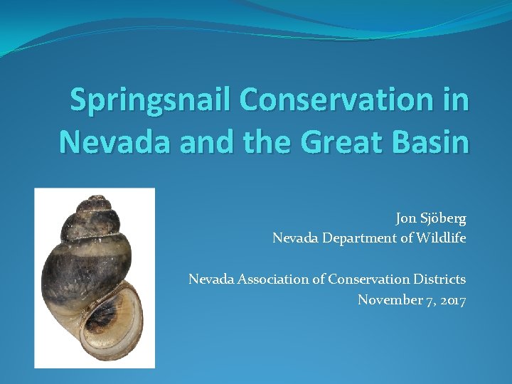 Springsnail Conservation in Nevada and the Great Basin Jon Sjöberg Nevada Department of Wildlife