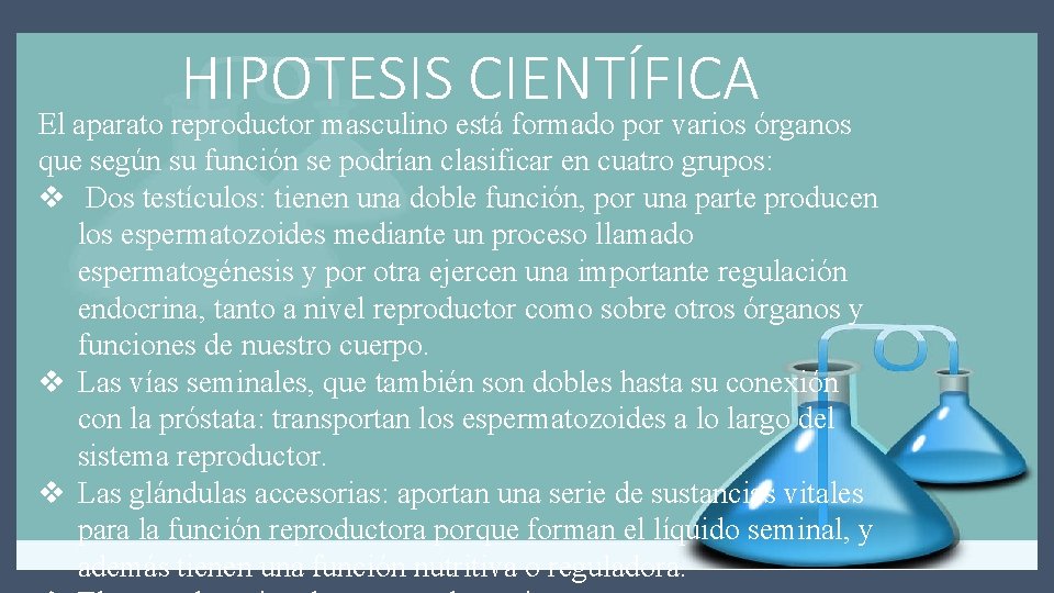 HIPOTESIS CIENTÍFICA El aparato reproductor masculino está formado por varios órganos que según su