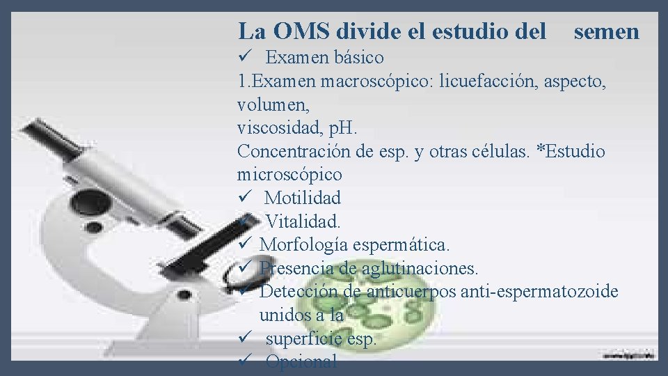 La OMS divide el estudio del semen ü Examen básico 1. Examen macroscópico: licuefacción,