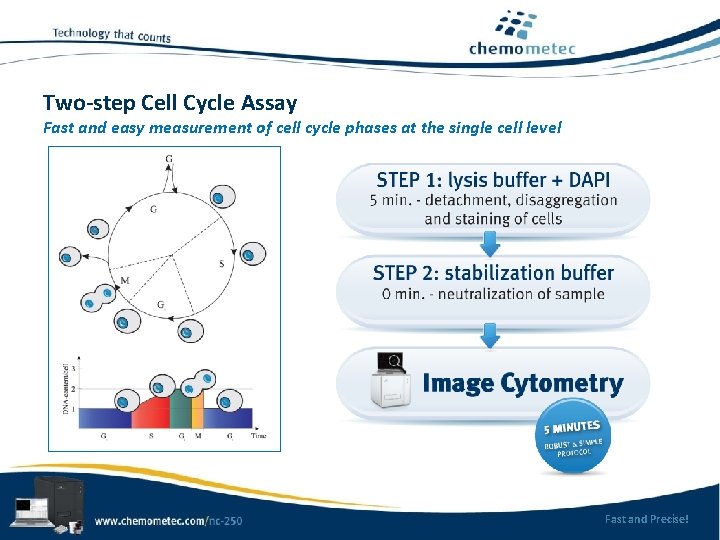 Two-step Cell Cycle Assay Fast and easy measurement of cell cycle phases at the