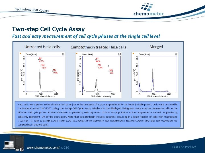Two-step Cell Cycle Assay Fast and easy measurement of cell cycle phases at the