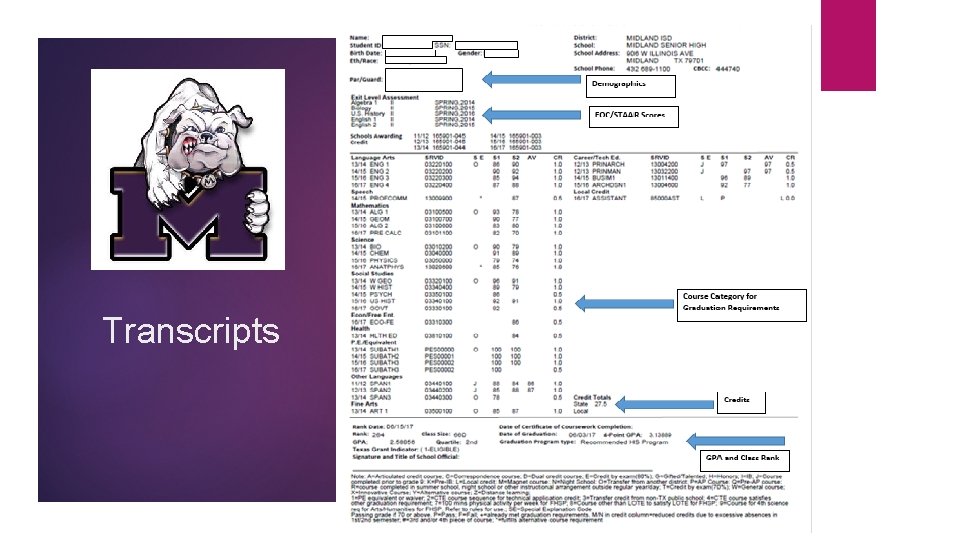 Transcripts 