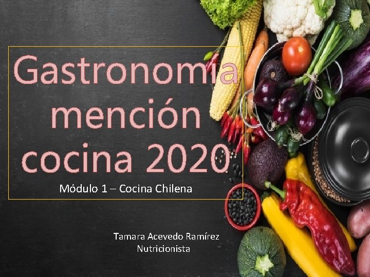 Gastronomía mención cocina 2020 Módulo 1 – Cocina Chilena Tamara Acevedo Ramírez Nutricionista 