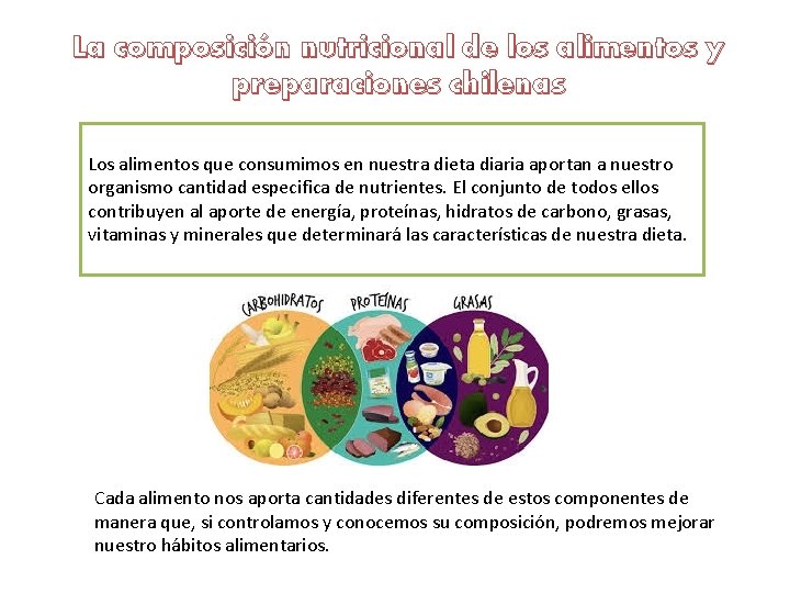 La composición nutricional de los alimentos y preparaciones chilenas Los alimentos que consumimos en