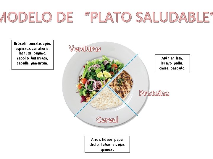 MODELO DE “PLATO SALUDABLE” Brócoli, tomate, apio, espinaca, zanahoria, lechuga, pepino, repollo, betarraga, cebolla,