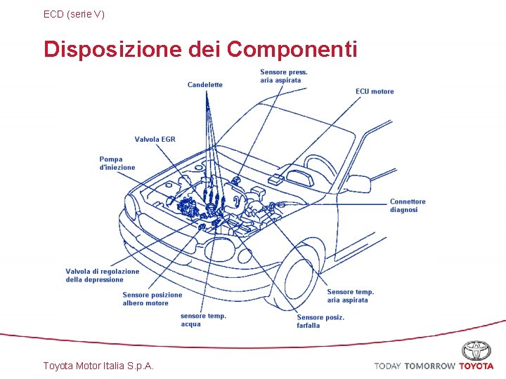 ECD (serie V) Disposizione dei Componenti Toyota Motor Italia S. p. A. 