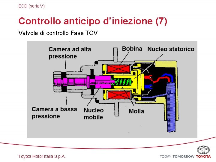 ECD (serie V) Controllo anticipo d’iniezione (7) Valvola di controllo Fase TCV Toyota Motor