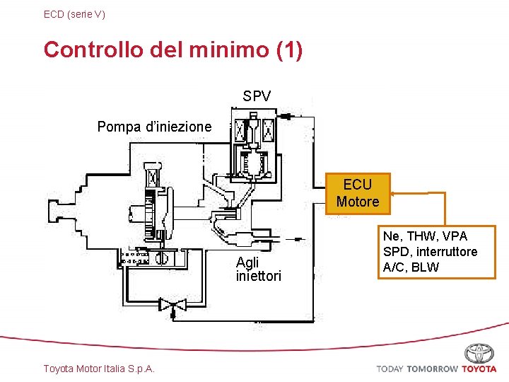 ECD (serie V) Controllo del minimo (1) SPV Pompa d’iniezione ECU Motore Agli iniettori