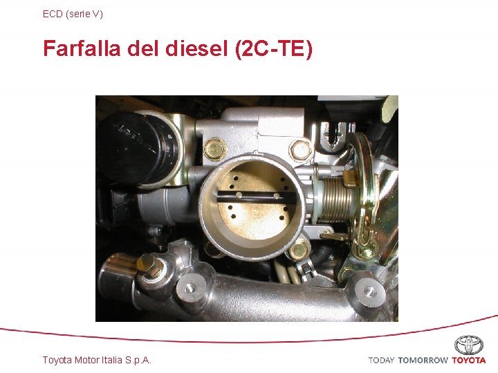 ECD (serie V) Farfalla del diesel (2 C-TE) Toyota Motor Italia S. p. A.