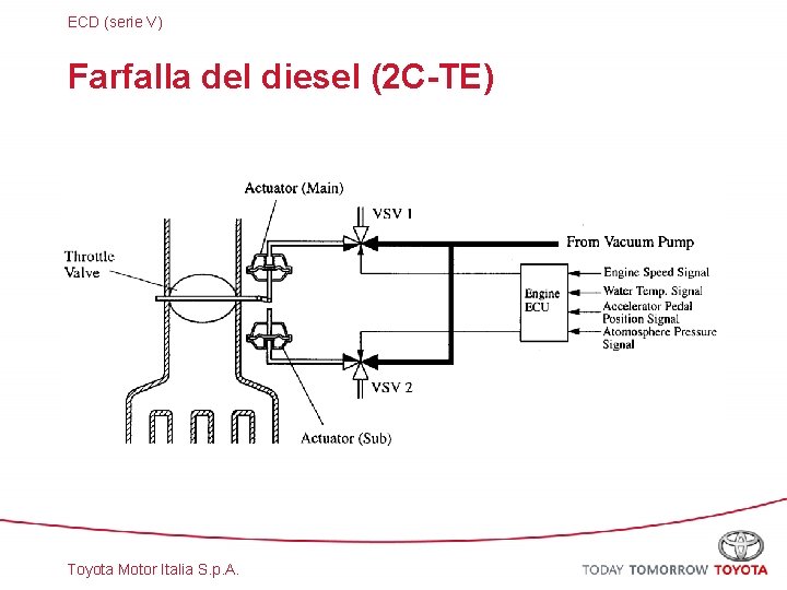 ECD (serie V) Farfalla del diesel (2 C-TE) Toyota Motor Italia S. p. A.