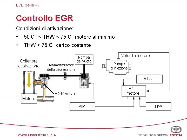 ECD (serie V) Controllo EGR Condizioni di attivazione: • 50 C° < THW <