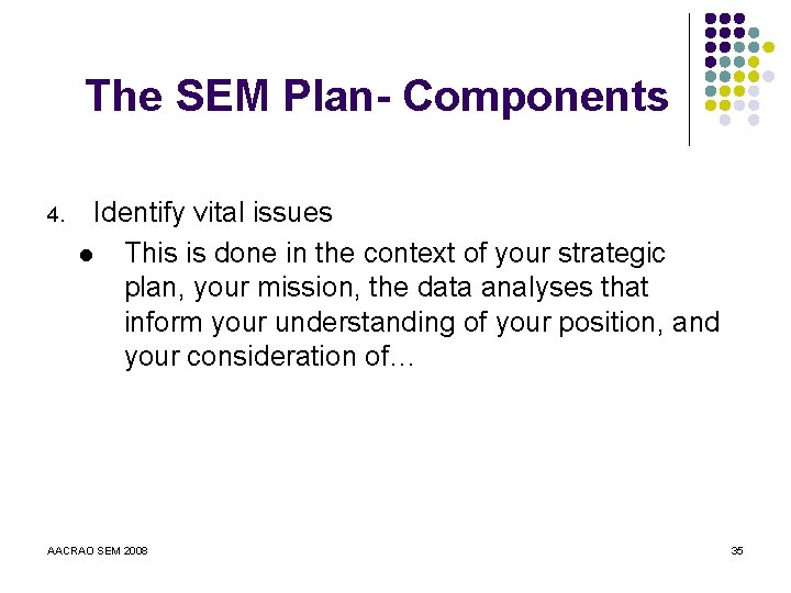 The SEM Plan- Components 4. Identify vital issues l This is done in the