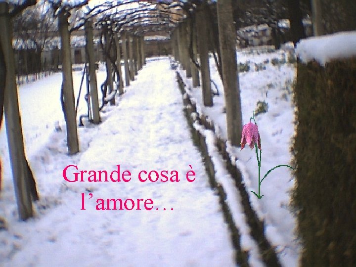 Grande cosa è l’amore… 