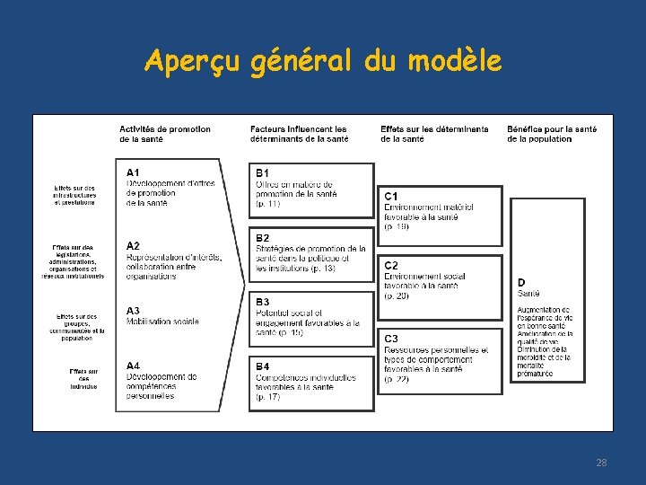 Aperçu général du modèle 28 