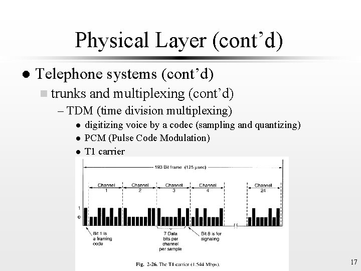 Physical Layer (cont’d) l Telephone systems (cont’d) n trunks and multiplexing (cont’d) – TDM